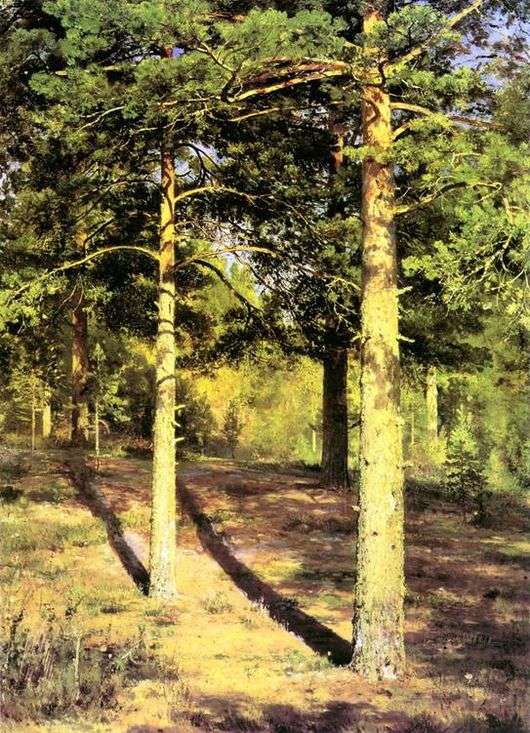 Opis obrazu Iwana Szyszkina Sosny oświetlone słońcem