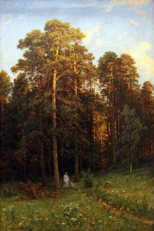 Opis obrazu Iwana Szyszkina Na skraju sosnowego lasu