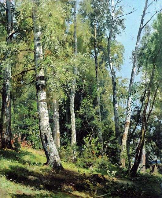 Opis obrazu Ivana Shishkina Birch Grove