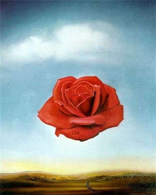 Opis obrazu Salvadora Dali Kwiat (Rozmyślna róża)