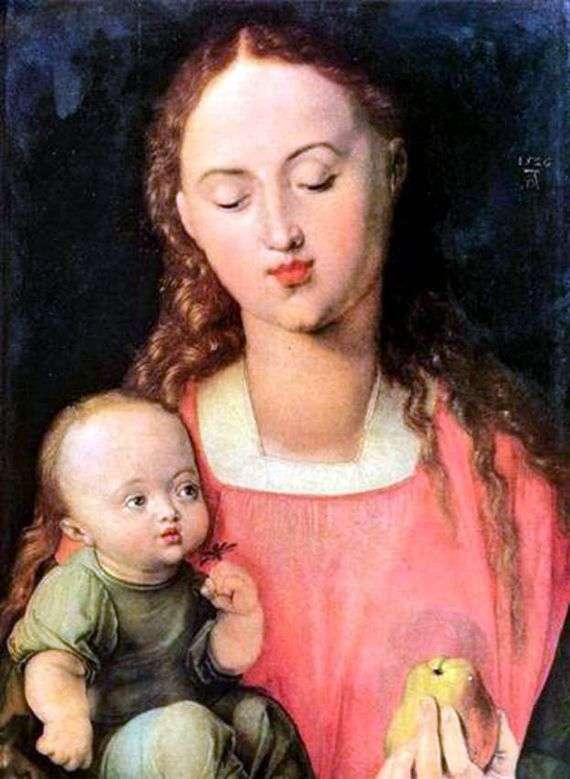 Opis obrazu Albrechta Durera Maria i dziecko
