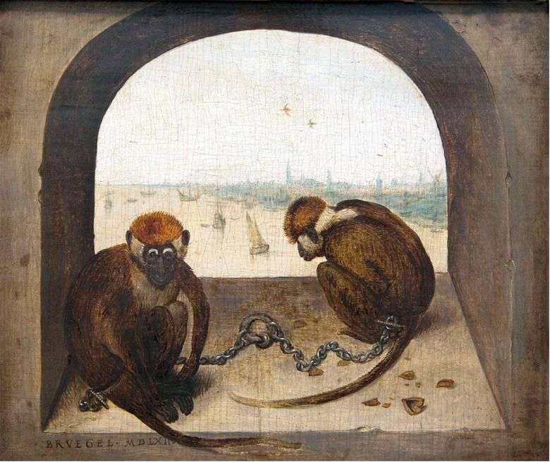 Opis obrazu Pietera Bruegla Starszego Dwie małpy