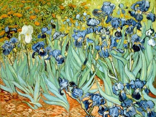 Opis obrazu Vincenta van Gogha Irysy