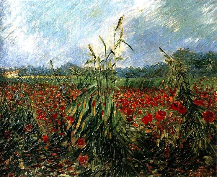 Opis obrazu Vincenta Van Gogha Pola maku
