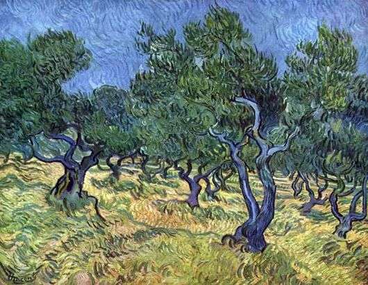 Opis obrazu Vincenta Van Gogha Olive Grove