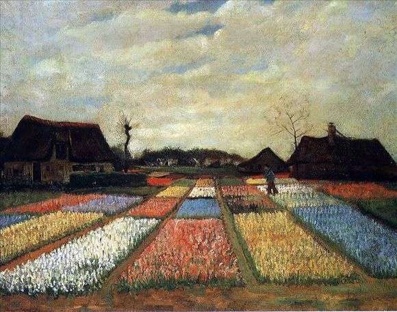 Opis obrazu Vincenta Van Gogha Pola tulipanów
