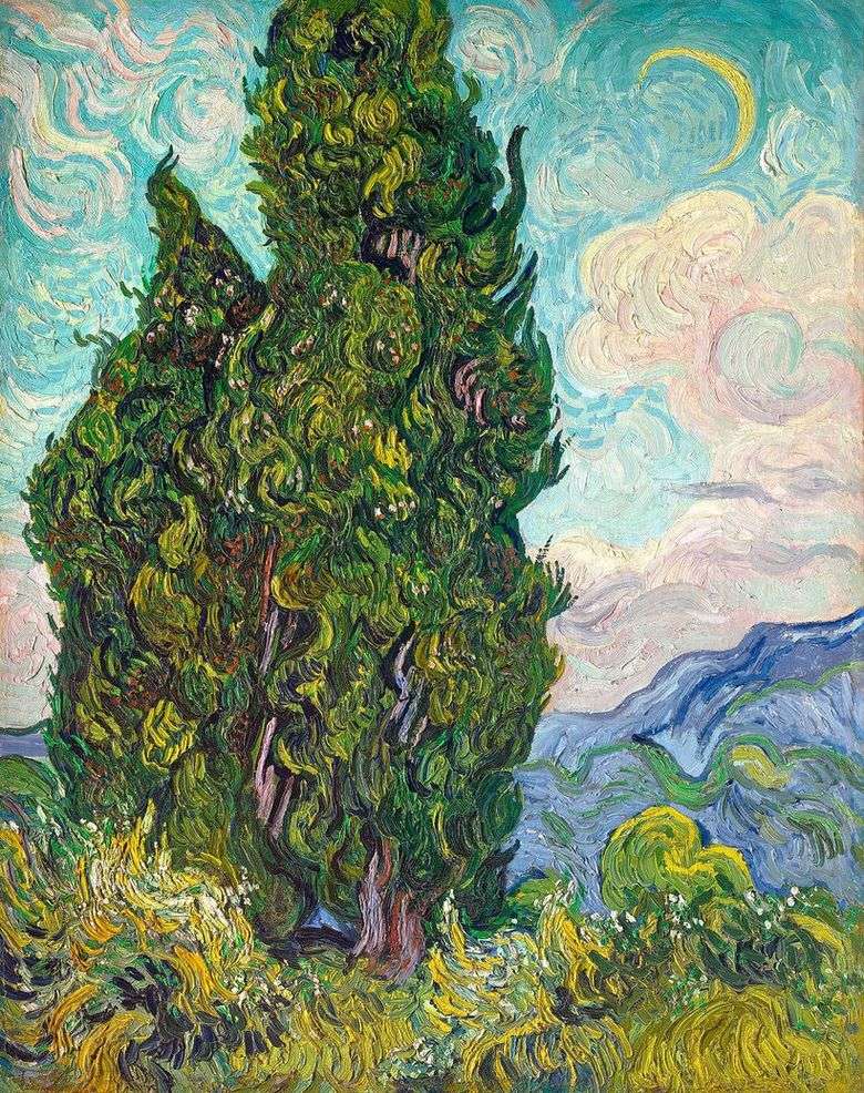 Opis obrazu Vincenta Van Gogha Cyprysy