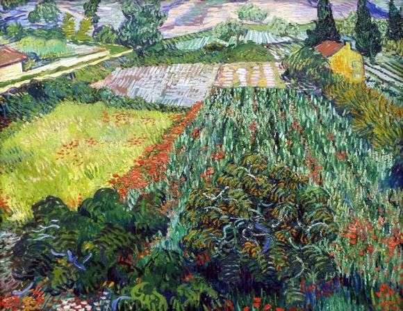 Opis obrazu Vincenta Van Gogha Pole maku