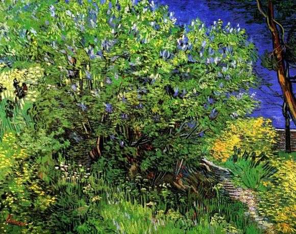 Opis obrazu Vincenta Van Gogha Lilac Bush