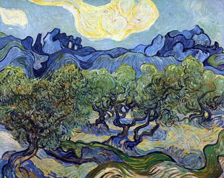 Opis obrazu Vincenta Willema van Gogha Krajobraz z oliwkami &; nbsp
