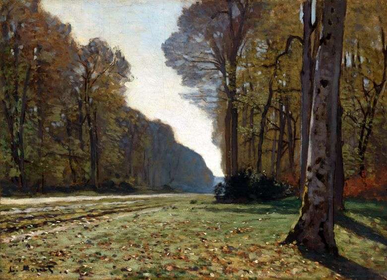 Opis obrazu Claude Moneta Droga