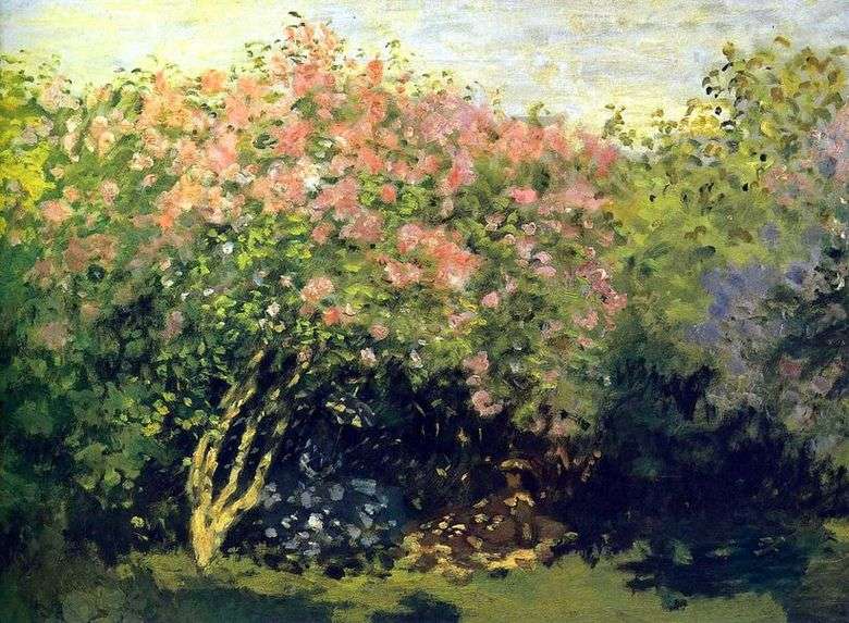 Opis obrazu Claudea Moneta Lilac in the sun