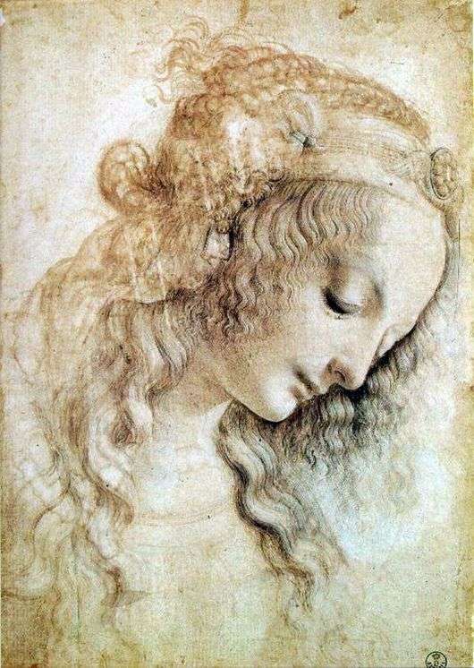 Opis obrazu Leonarda da Vinci Głowa kobiety