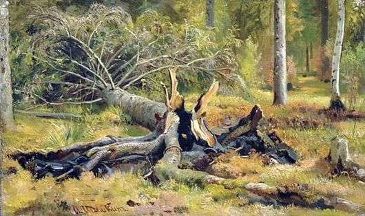 Opis obrazu Iwana Szyszkina Spadające drzewo