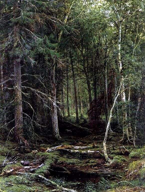 Opis obrazu Ivana Shishkina Wilderness