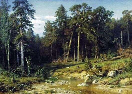 Opis obrazu Iwana Szyszkina Las sosnowy. Las masztowy w prowincji Vyatka 